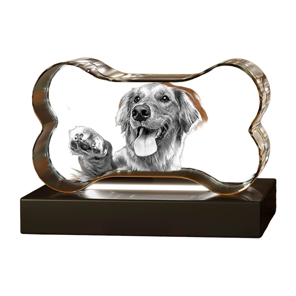 3D Crystal Bone - Image 4