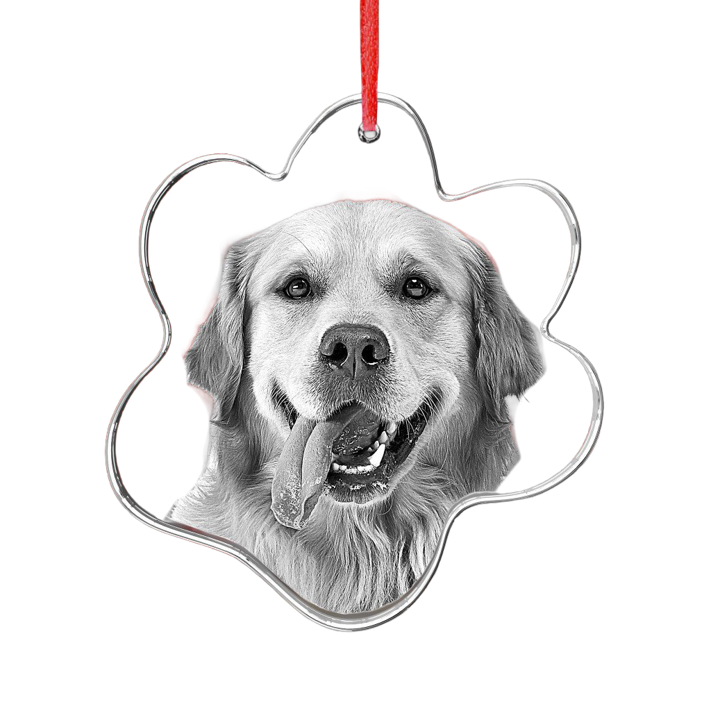 3D Crystal Ornament - Paw - Image 3